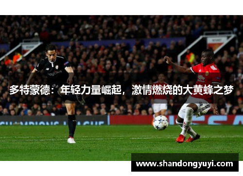 多特蒙德：年轻力量崛起，激情燃烧的大黄蜂之梦