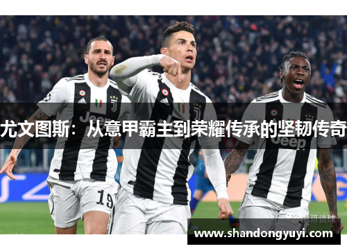 尤文图斯：从意甲霸主到荣耀传承的坚韧传奇