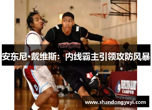 安东尼·戴维斯：内线霸主引领攻防风暴