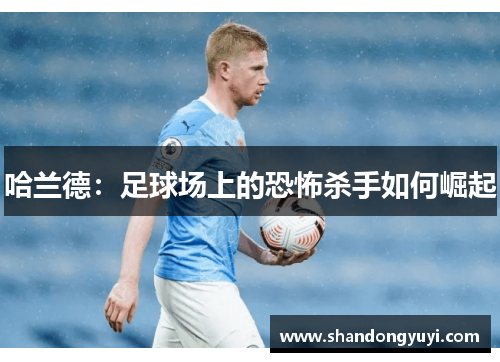 哈兰德：足球场上的恐怖杀手如何崛起