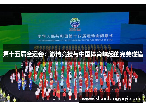 第十五届全运会：激情竞技与中国体育崛起的完美碰撞