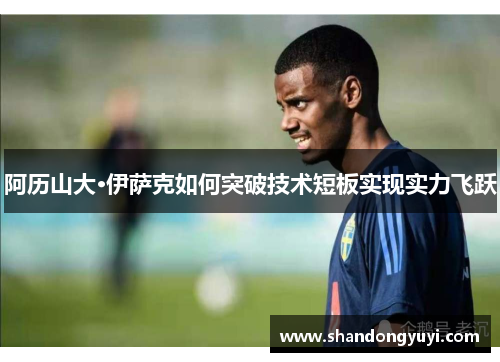 阿历山大·伊萨克如何突破技术短板实现实力飞跃